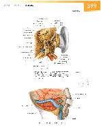 Sobotta Atlas of Human Anatomy  Head,Neck,Upper Limb Volume1 2006, page 406